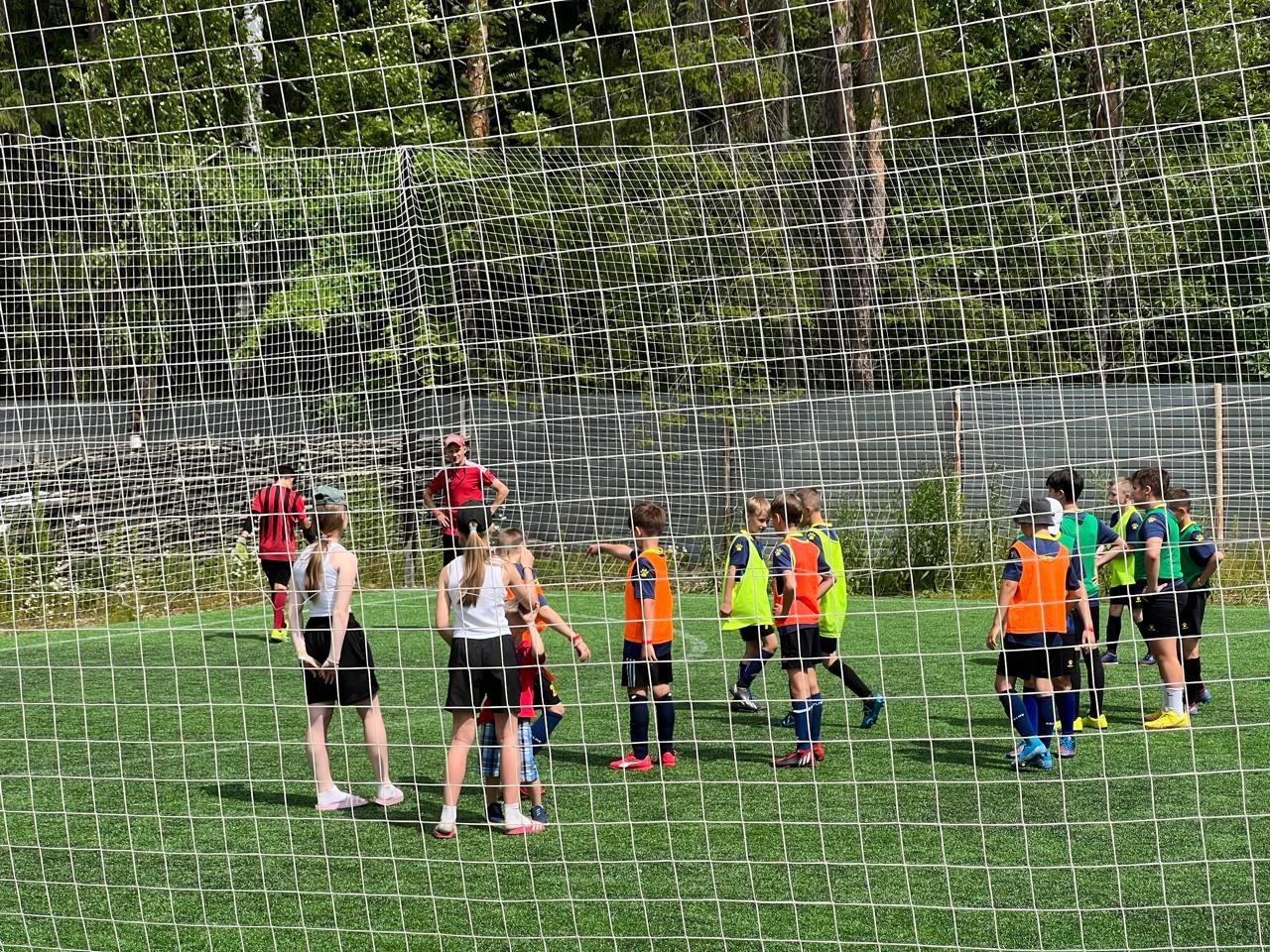 Ягодная деревушка - photo 5