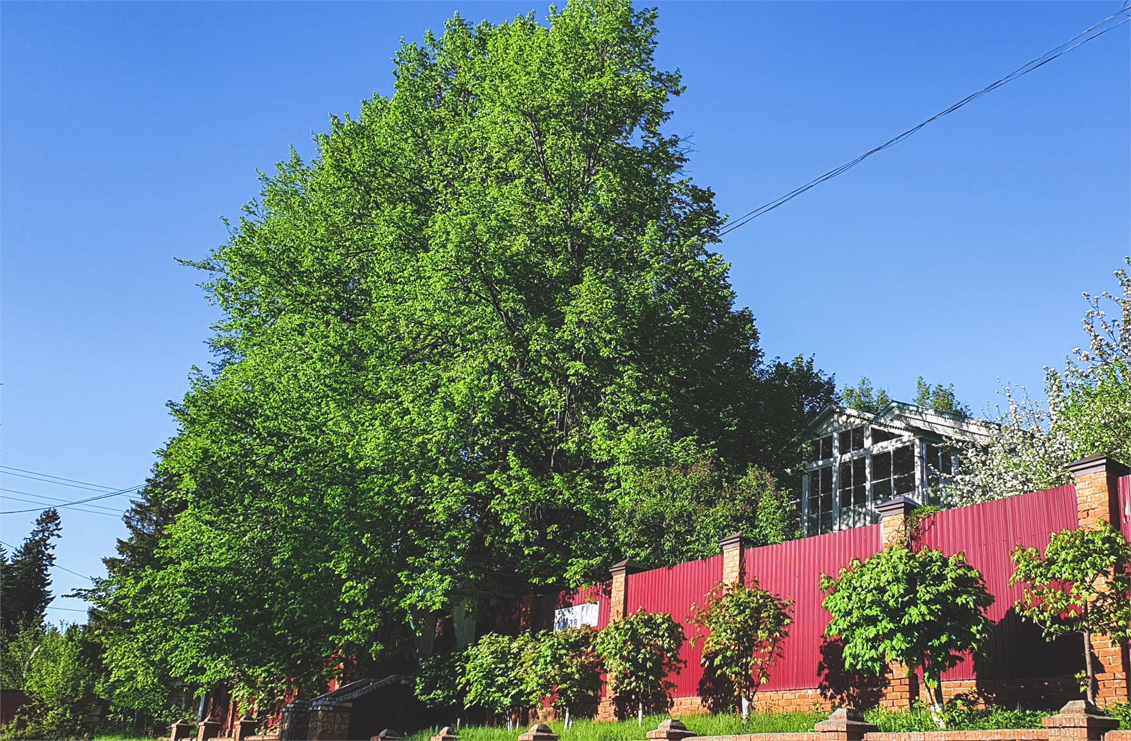 Отрадный - photo 2