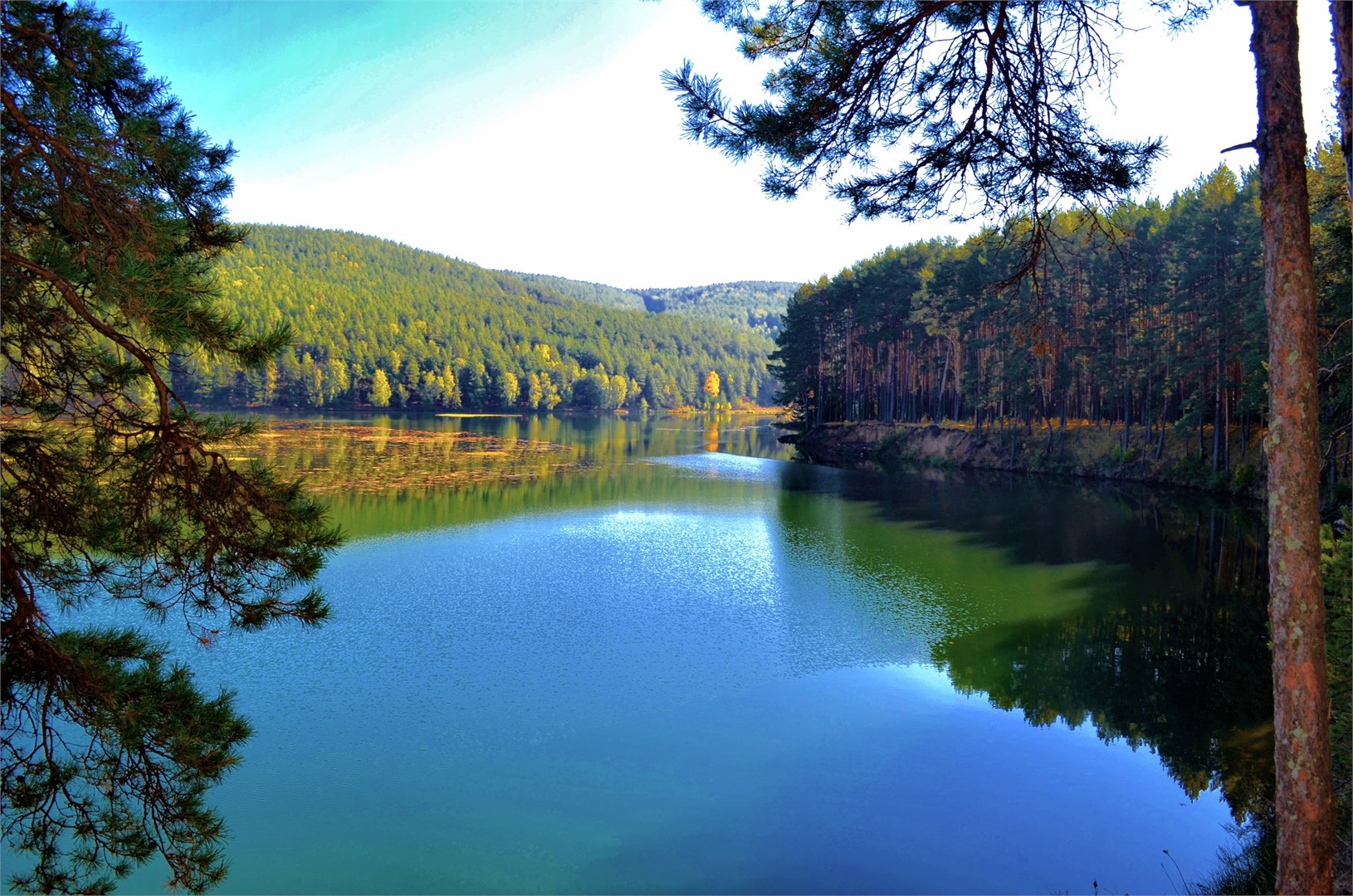 Карагай - photo 5