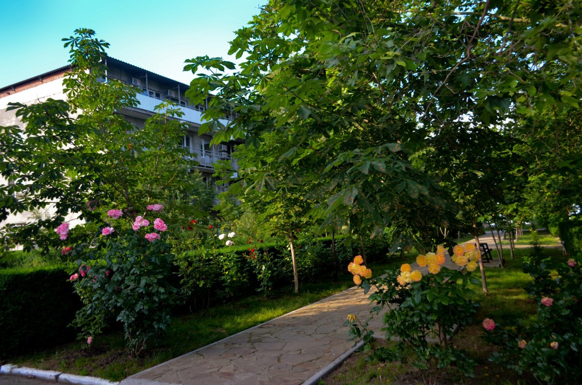 Южный берег - photo 3