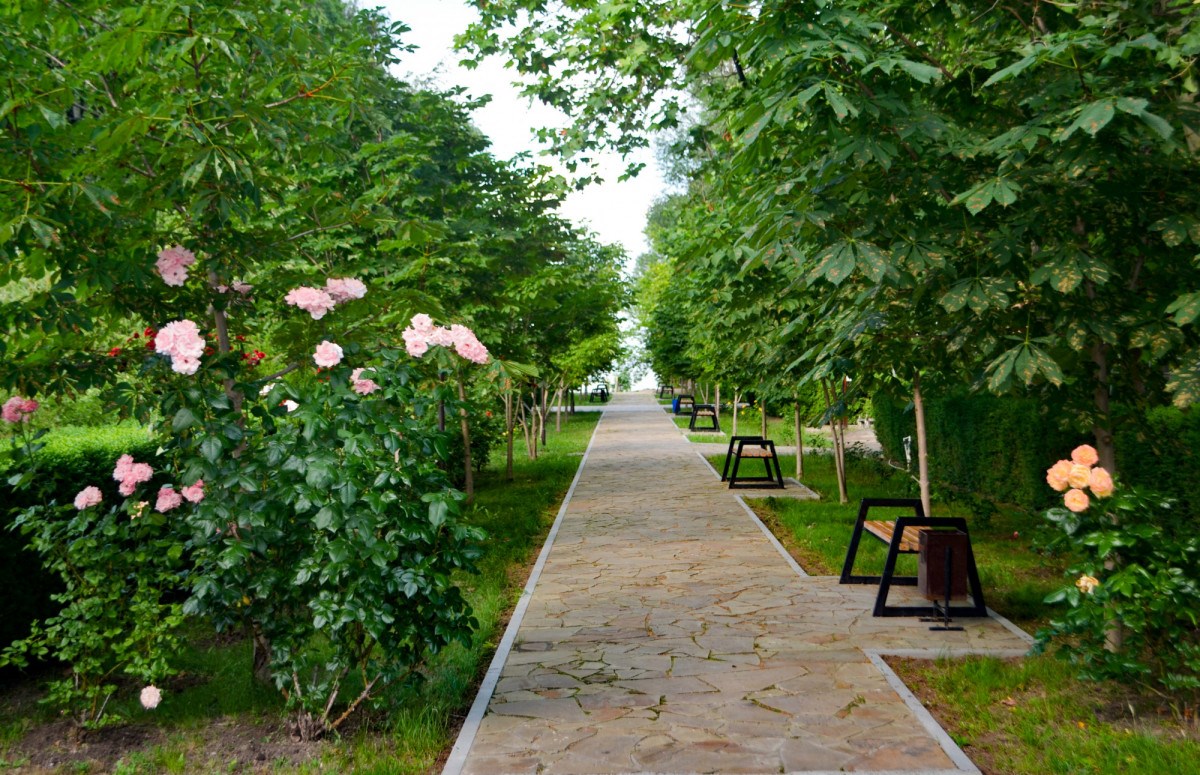 Южный берег - photo 4