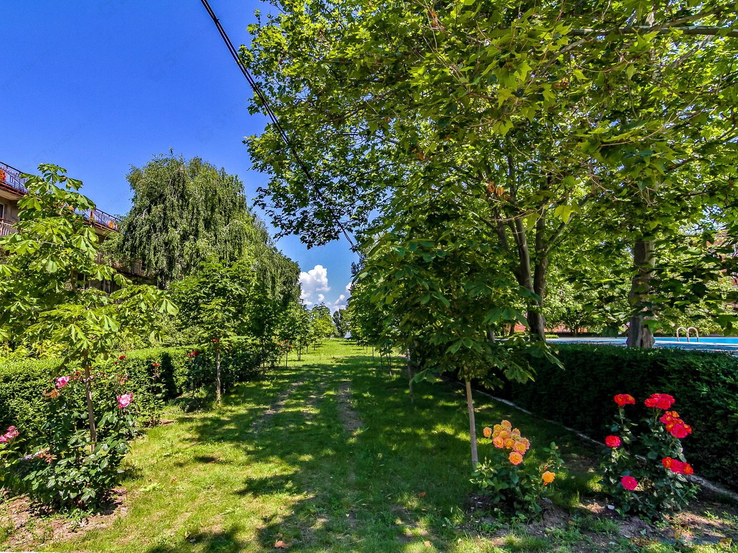 Южный берег - photo 5