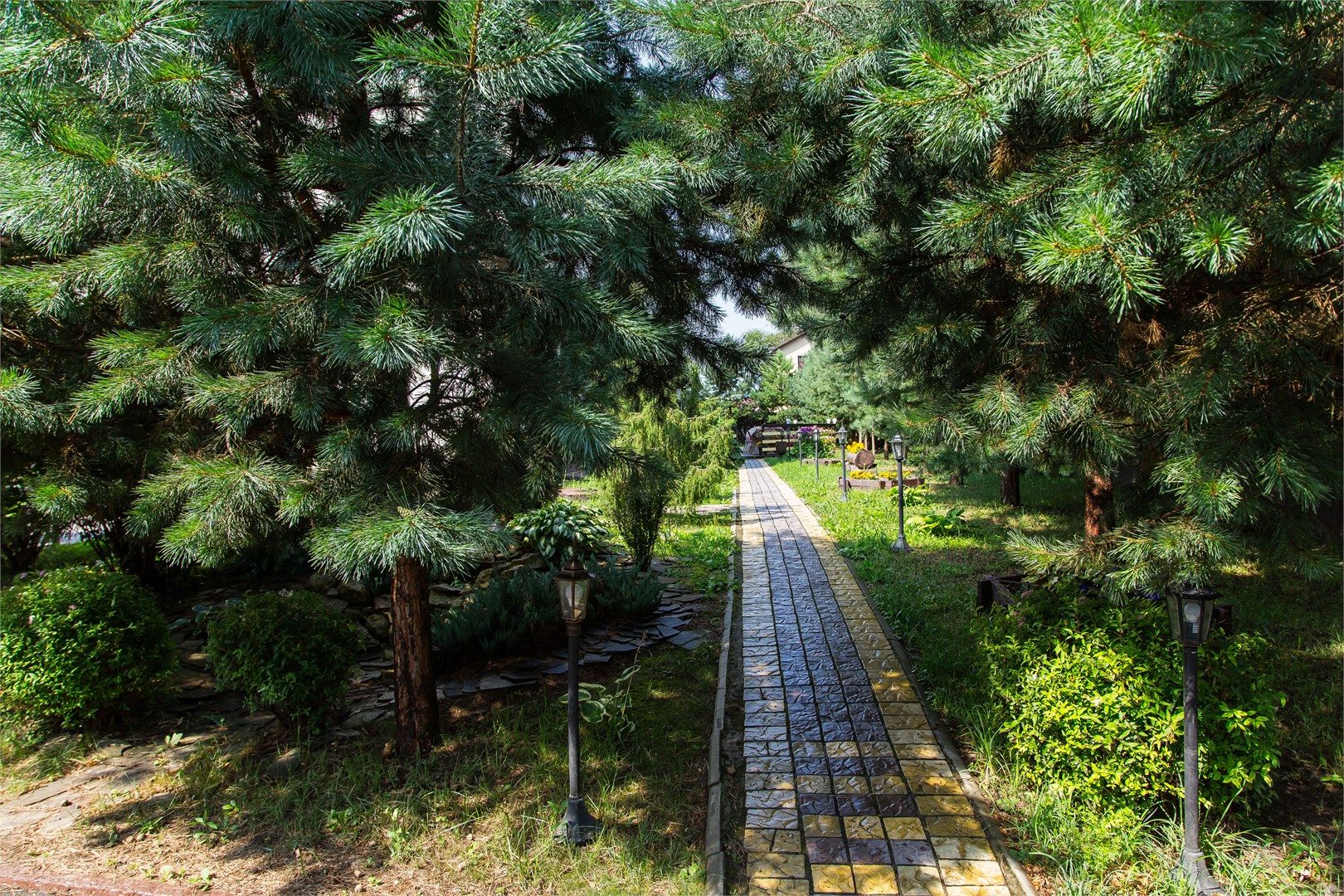 Volkoff-sky - photo 4