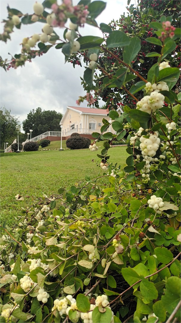 Санаторий Вишневая поляна - photo 2