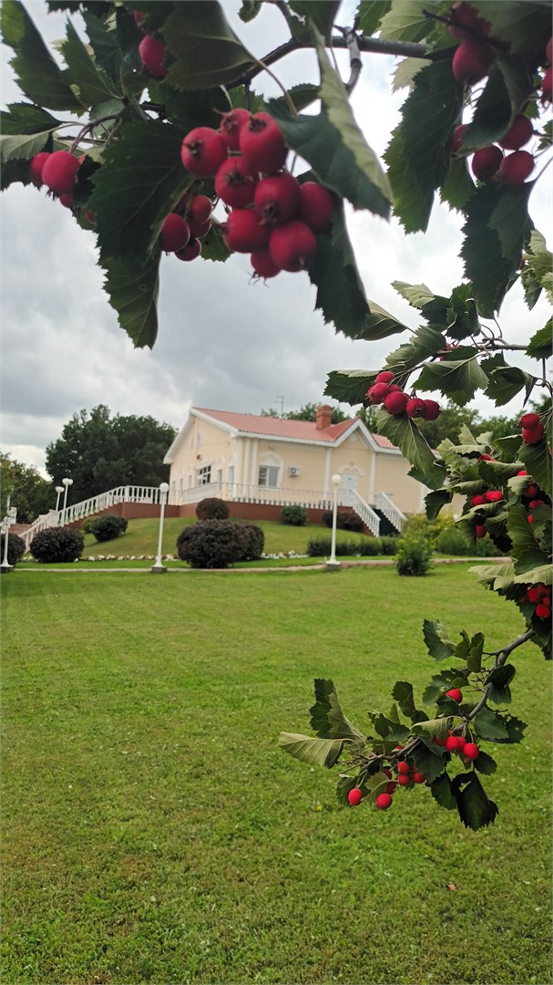 Санаторий Вишневая поляна - photo 3