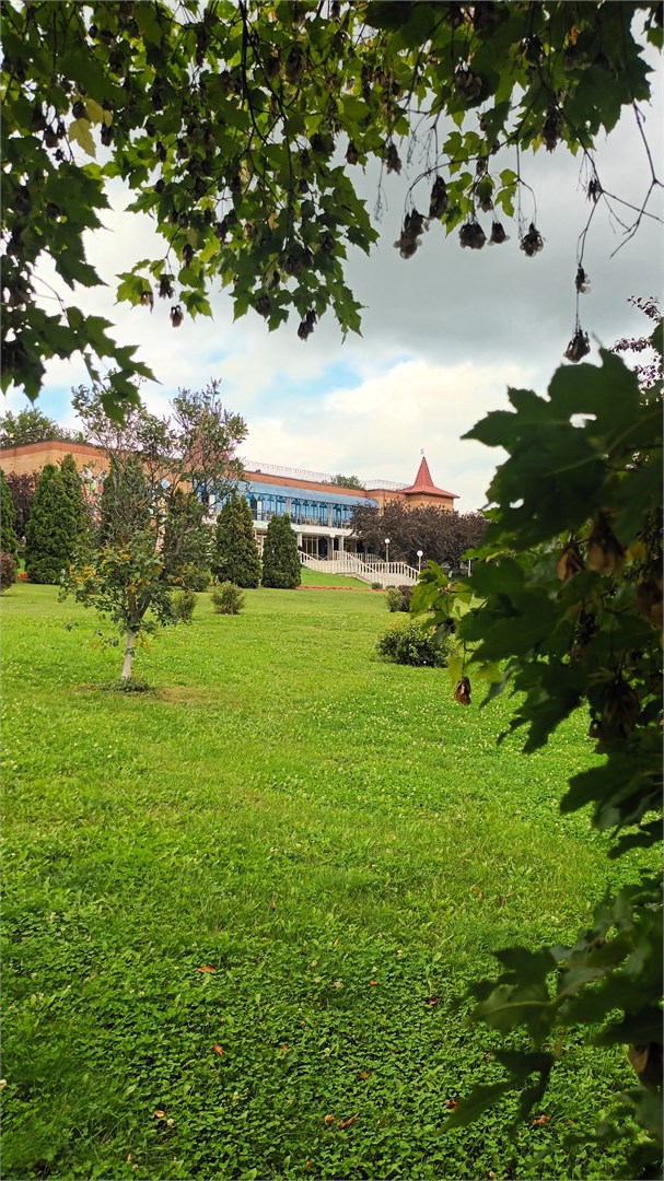 Санаторий Вишневая поляна - photo 5