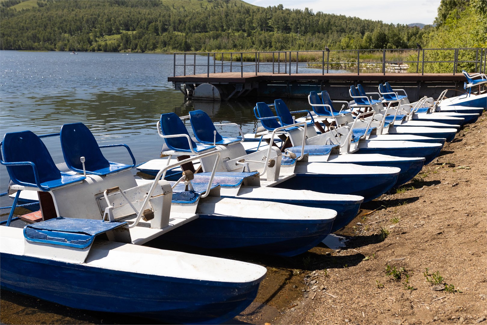 Дом отдыха «Березки» - photo 3