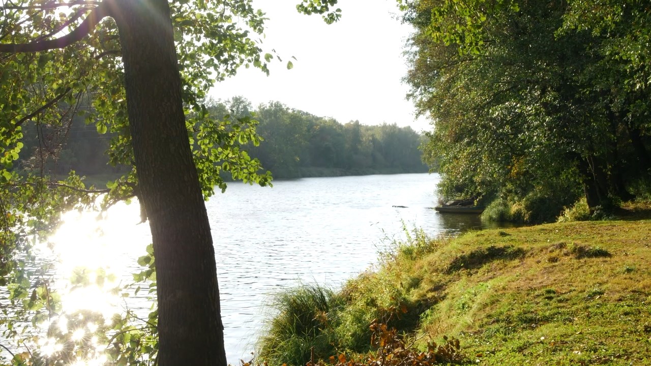 Санаторий Русский лес - photo 4