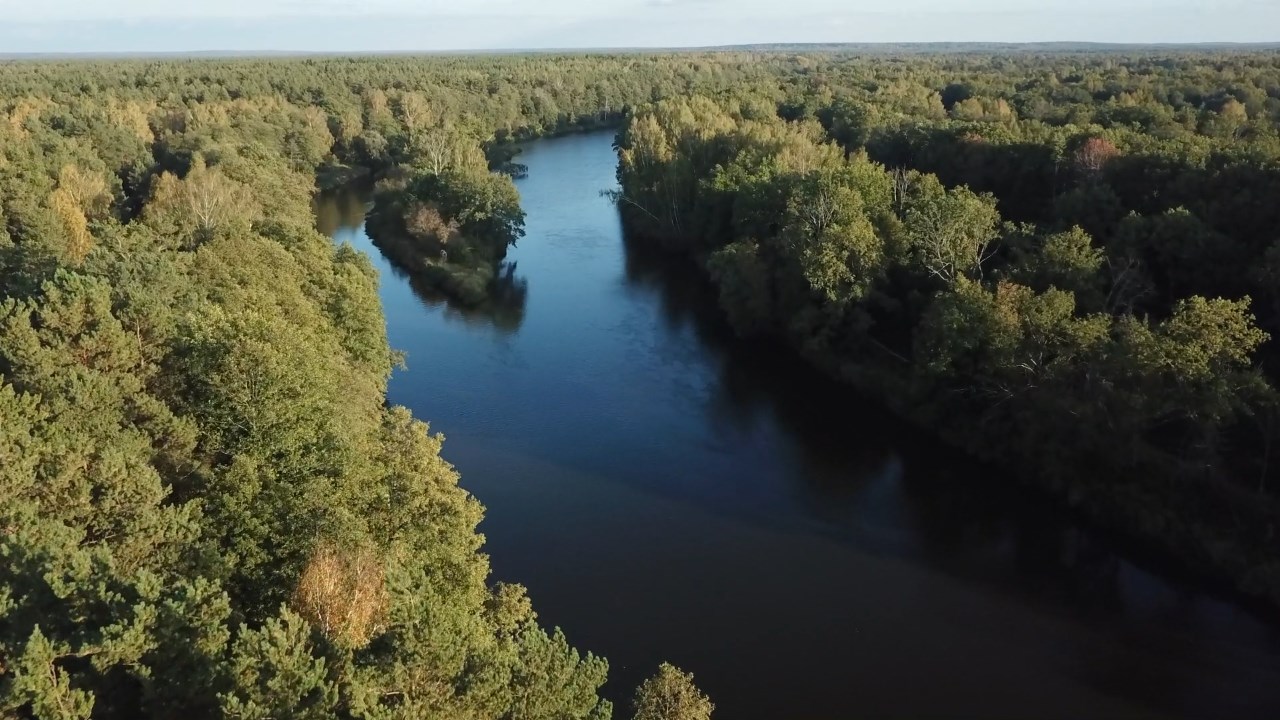 Санаторий Русский лес - photo 5