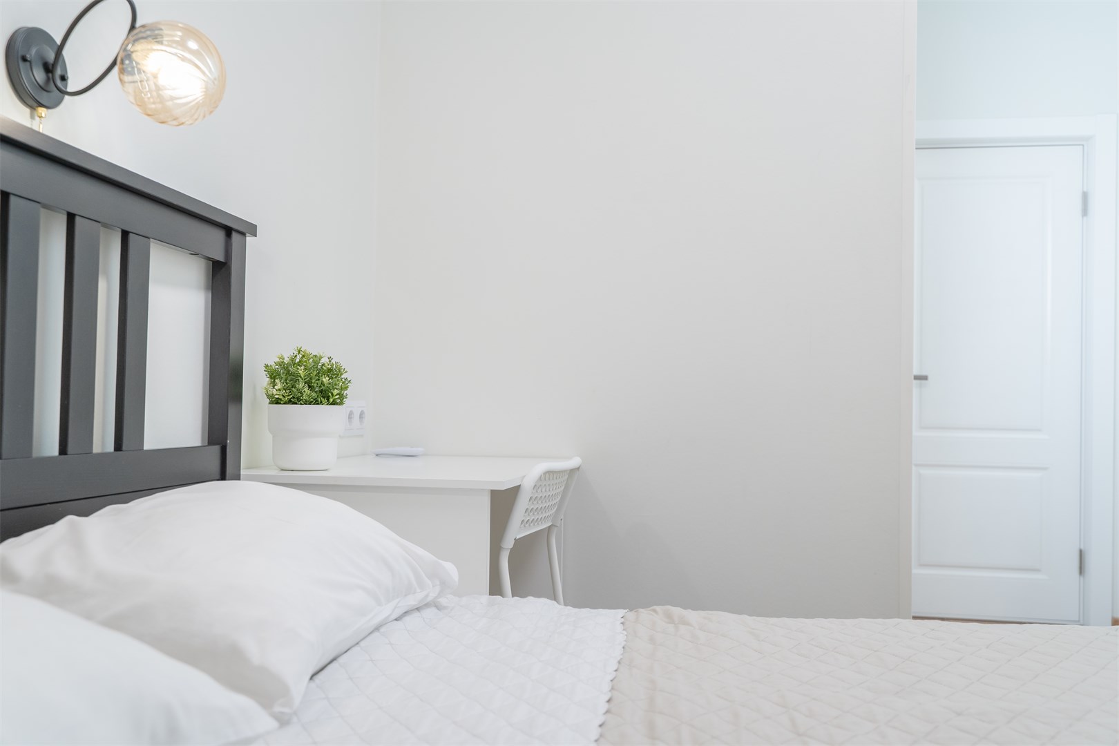 Три барсука - photo 3