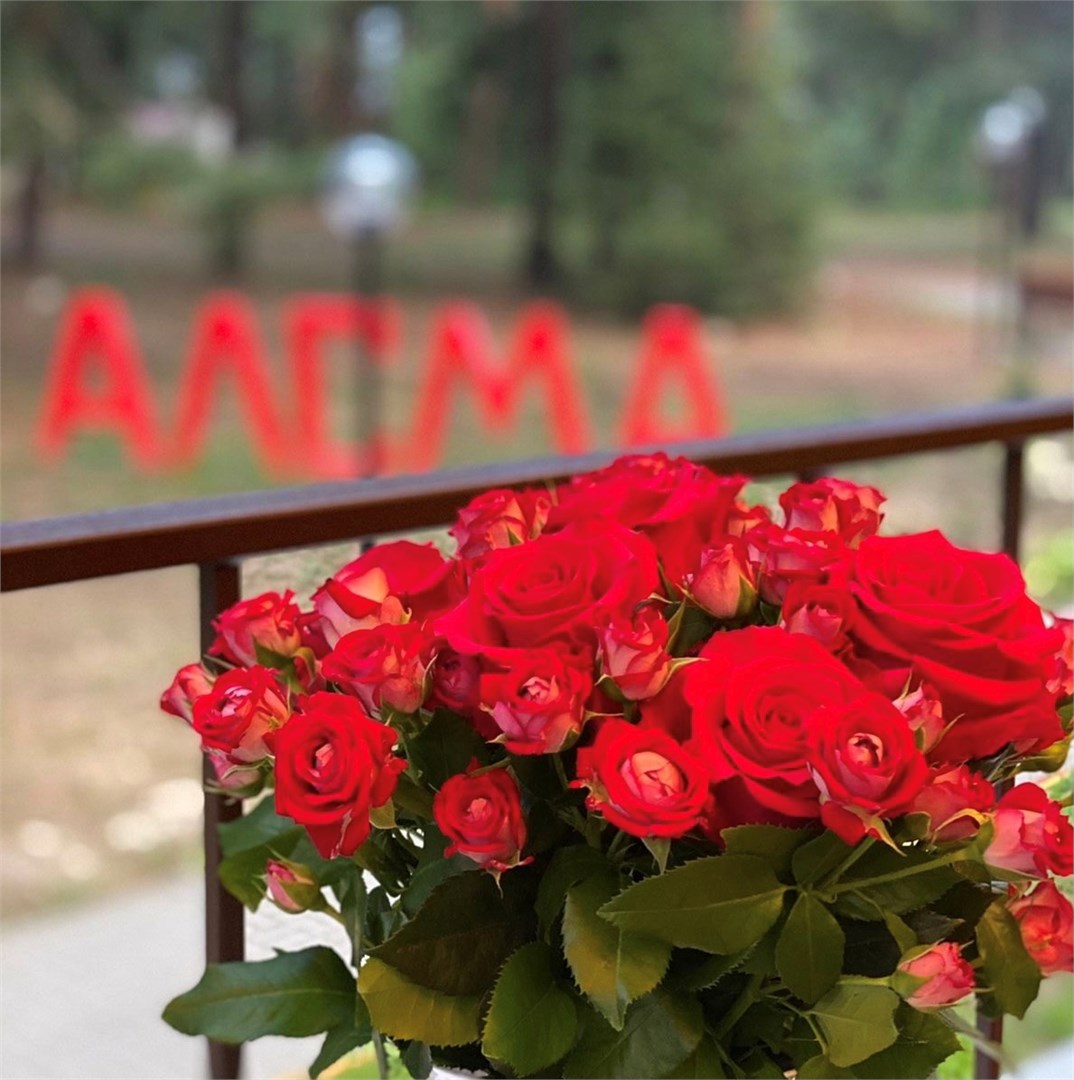 СПА-отель Алсма - photo 3