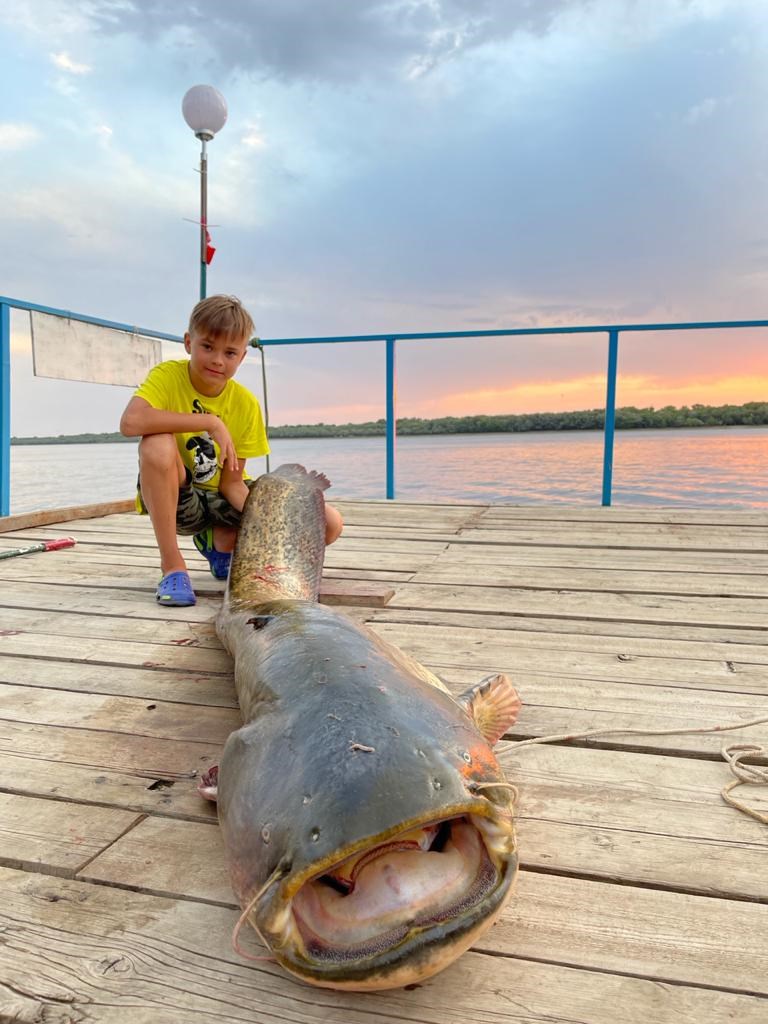 Авалон - photo 4