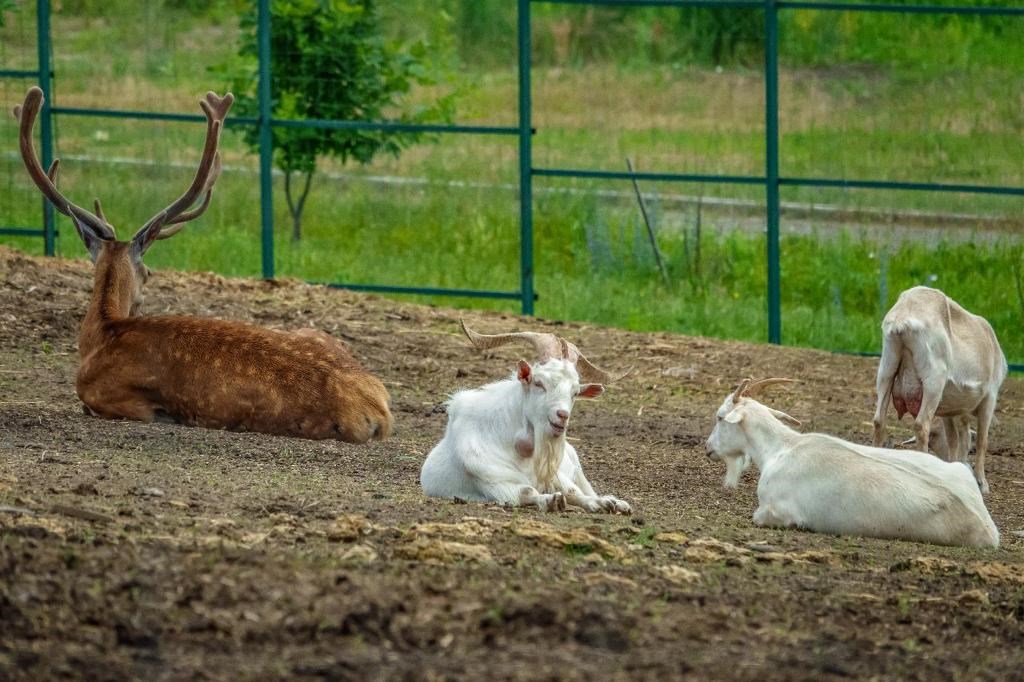 Любимая Усадьба - photo 2