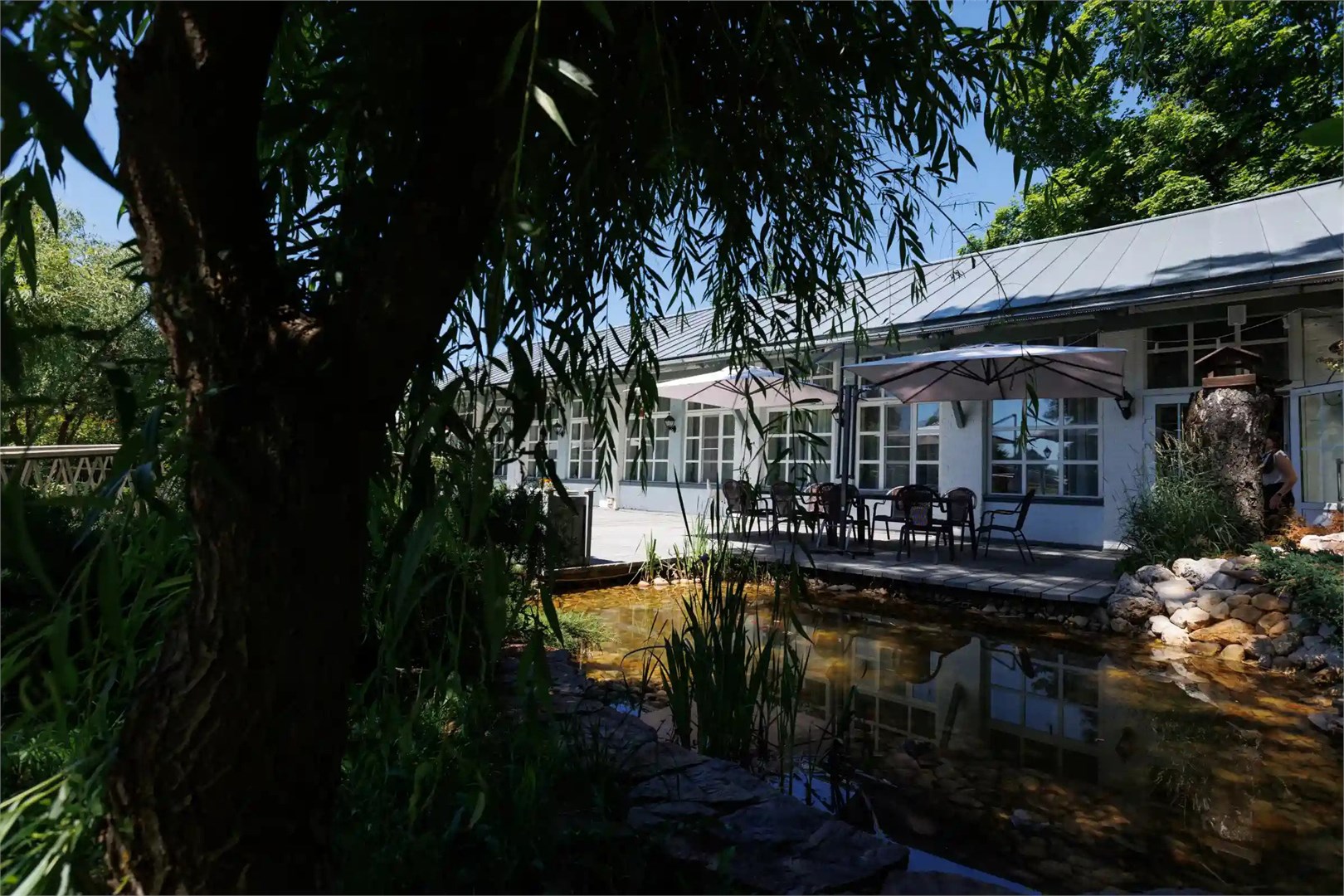 ВСЕ СЕЗОНЫ - photo 5