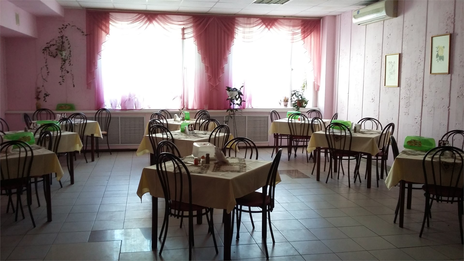 Сосновый бор - photo 3