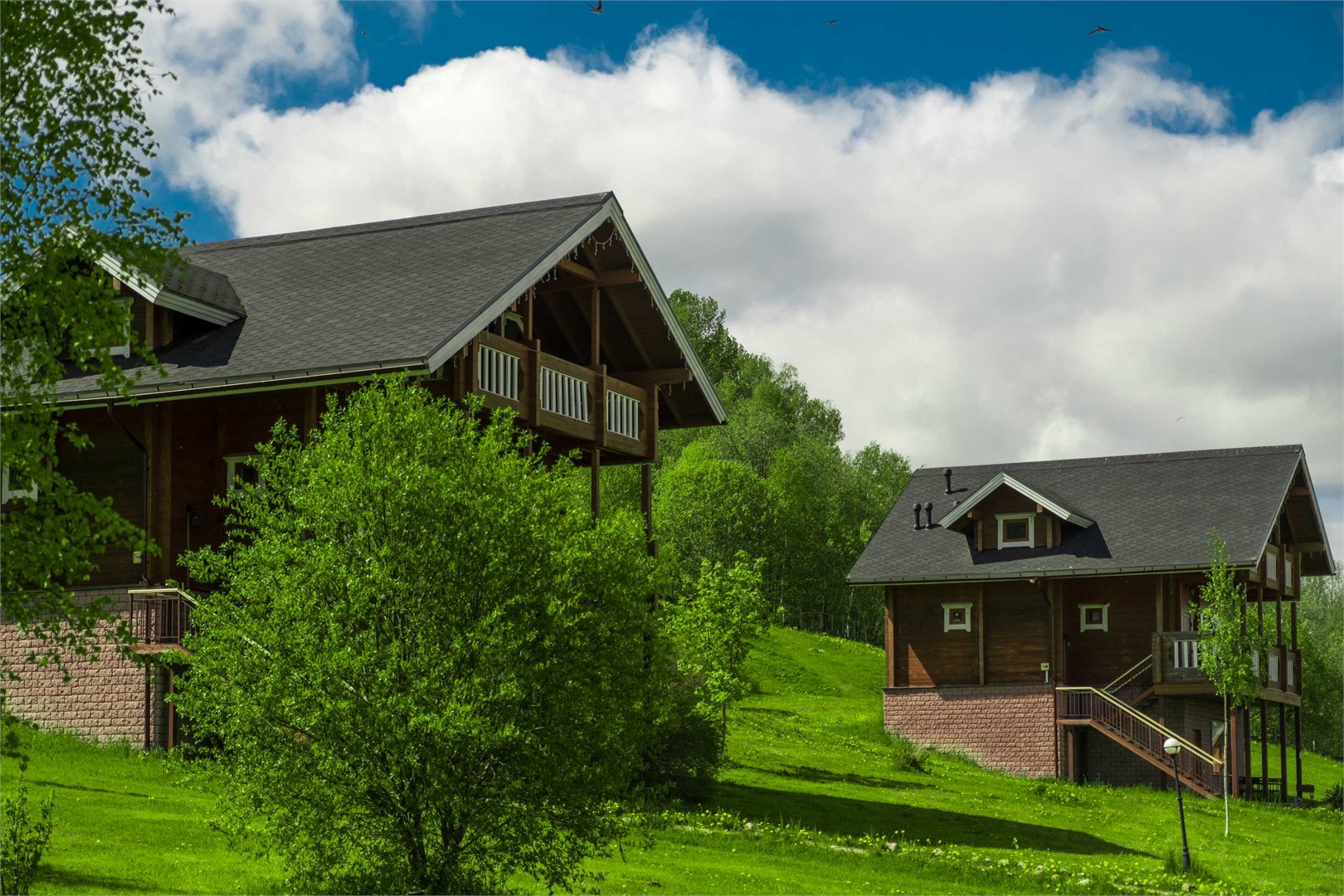 Вохотка - photo 2