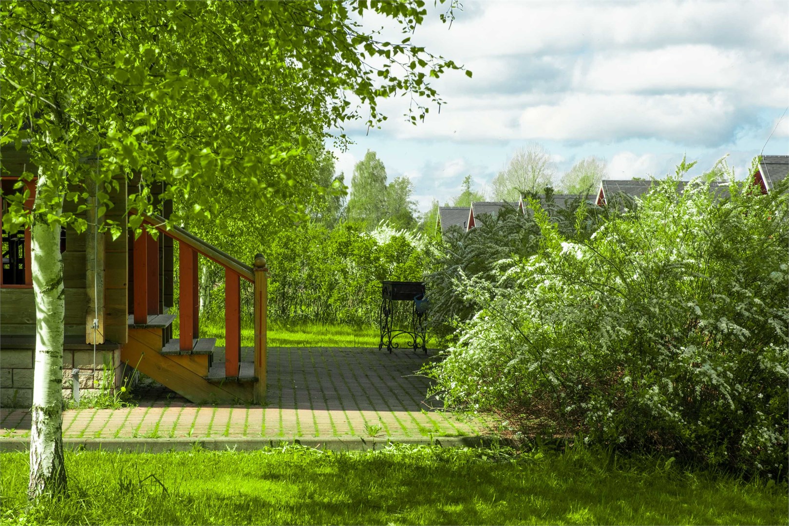 Вохотка - photo 4