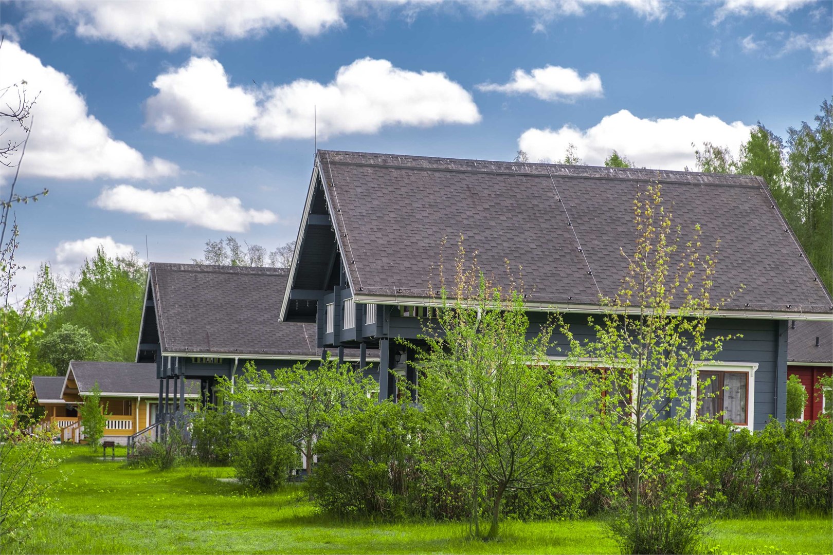 Вохотка - photo 5