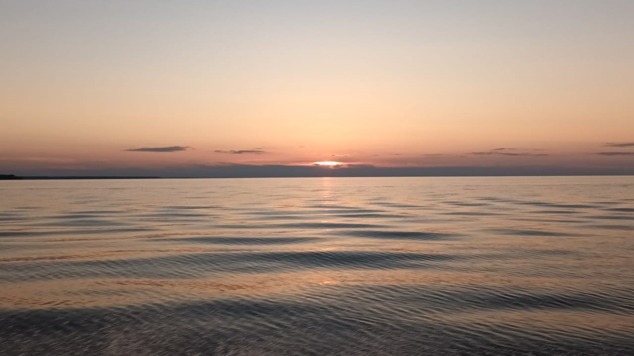 Чеснава - photo 3