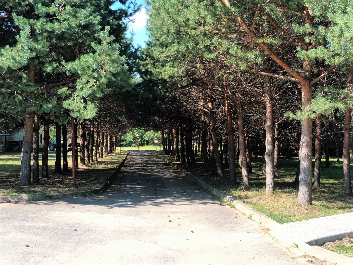 Чеснава - photo 4