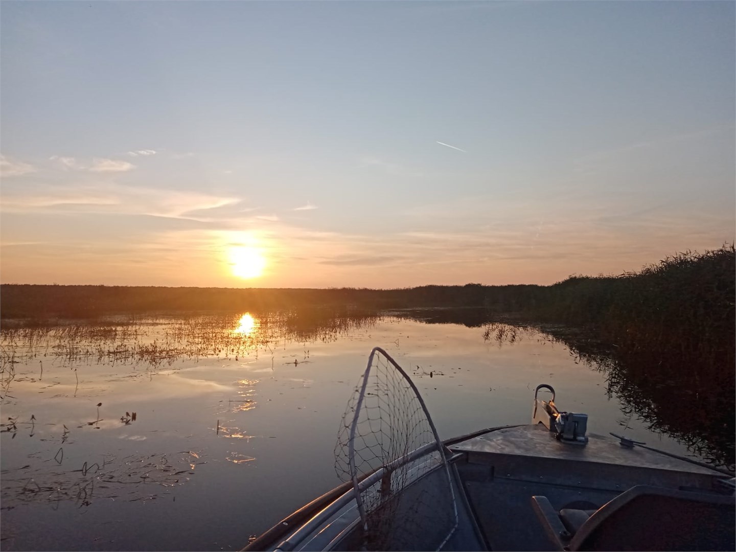 Чеснава - photo 5