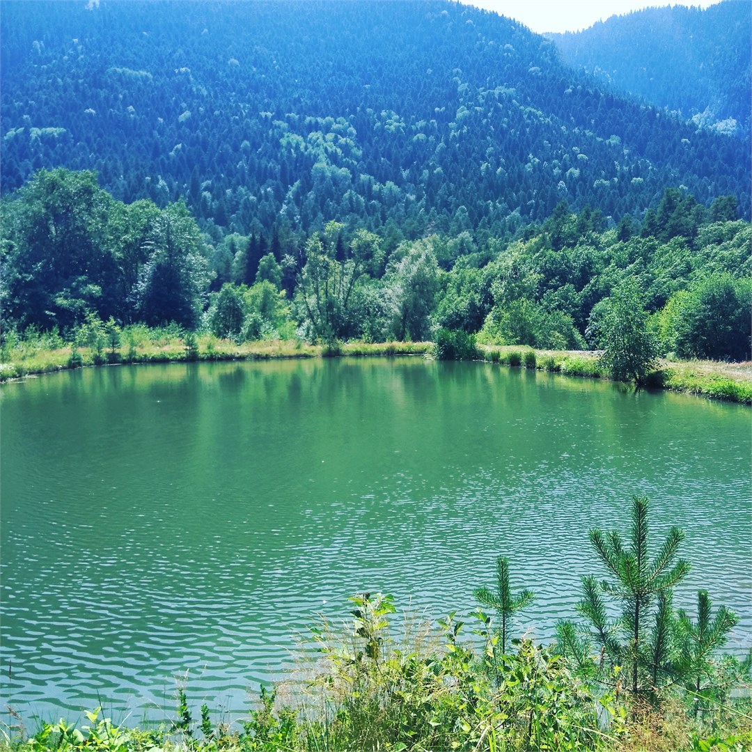 Благодать - photo 3