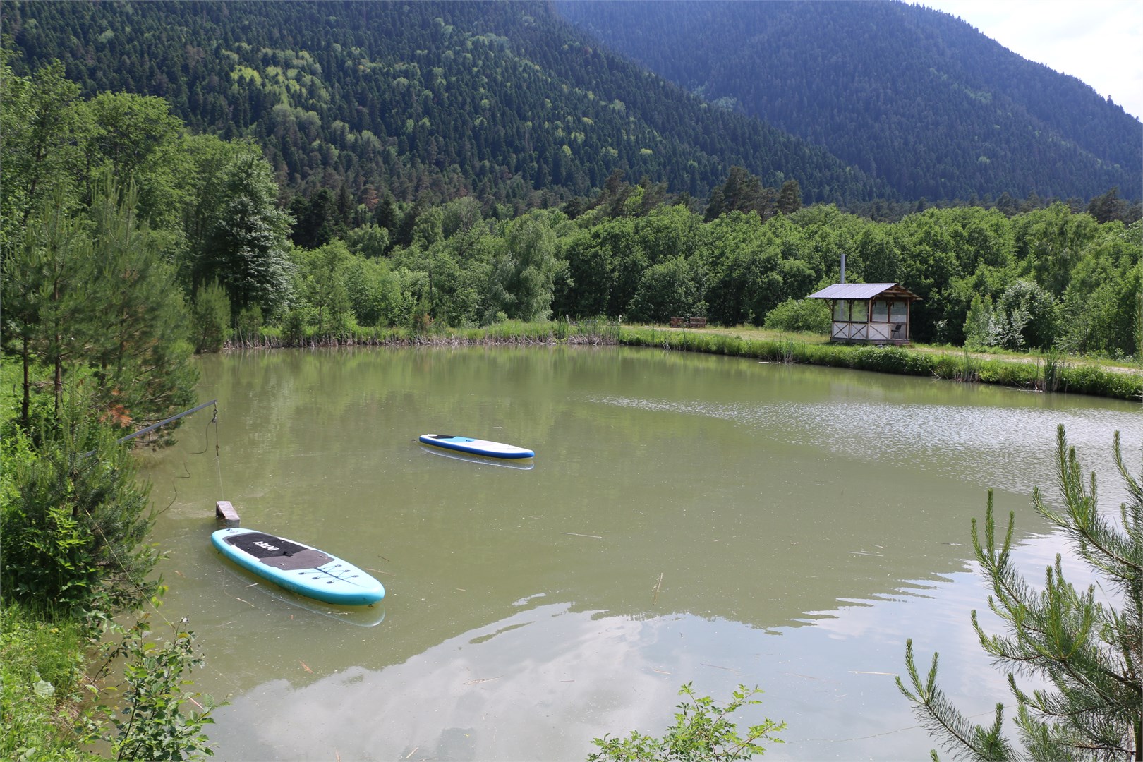 Благодать - photo 4