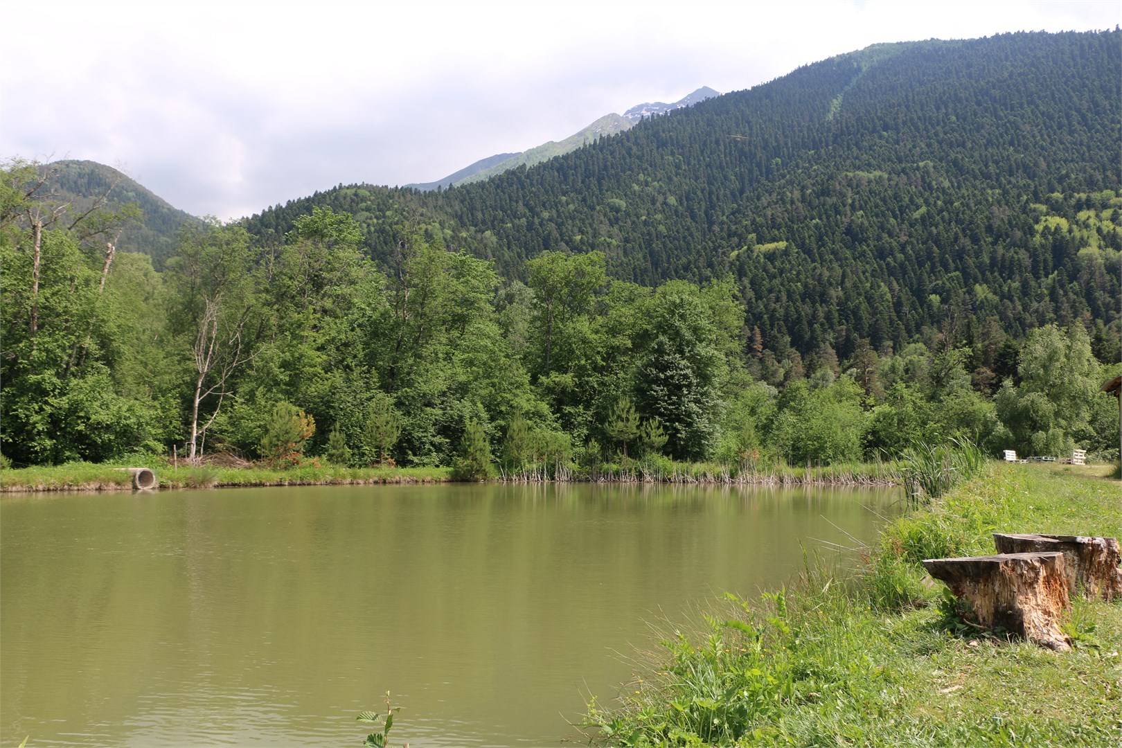 Благодать - photo 5