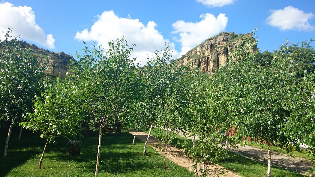 Парк-отель Каньон - photo 5