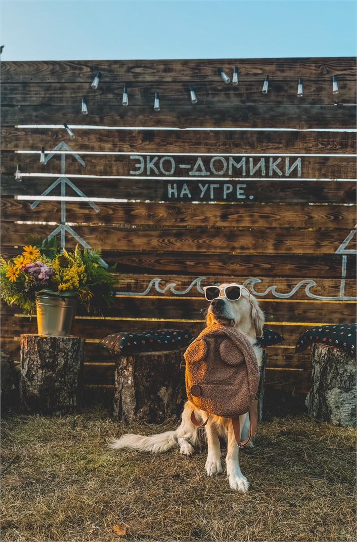 Эко-Домики на Угре - photo 2