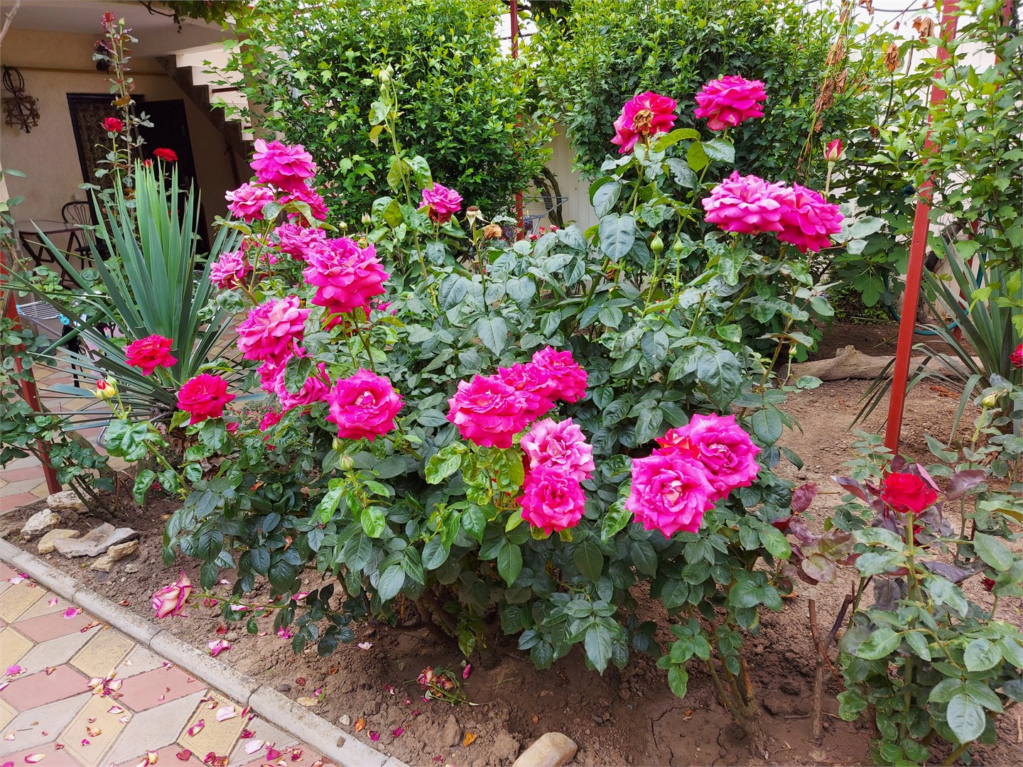 Гостиница на Морской - photo 4