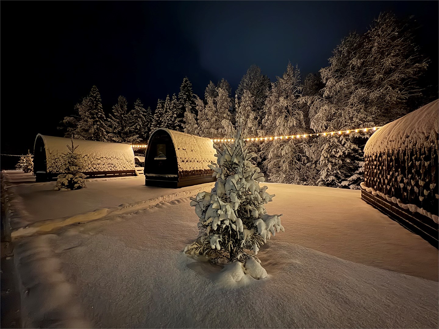 Bochkanakarte - photo 3