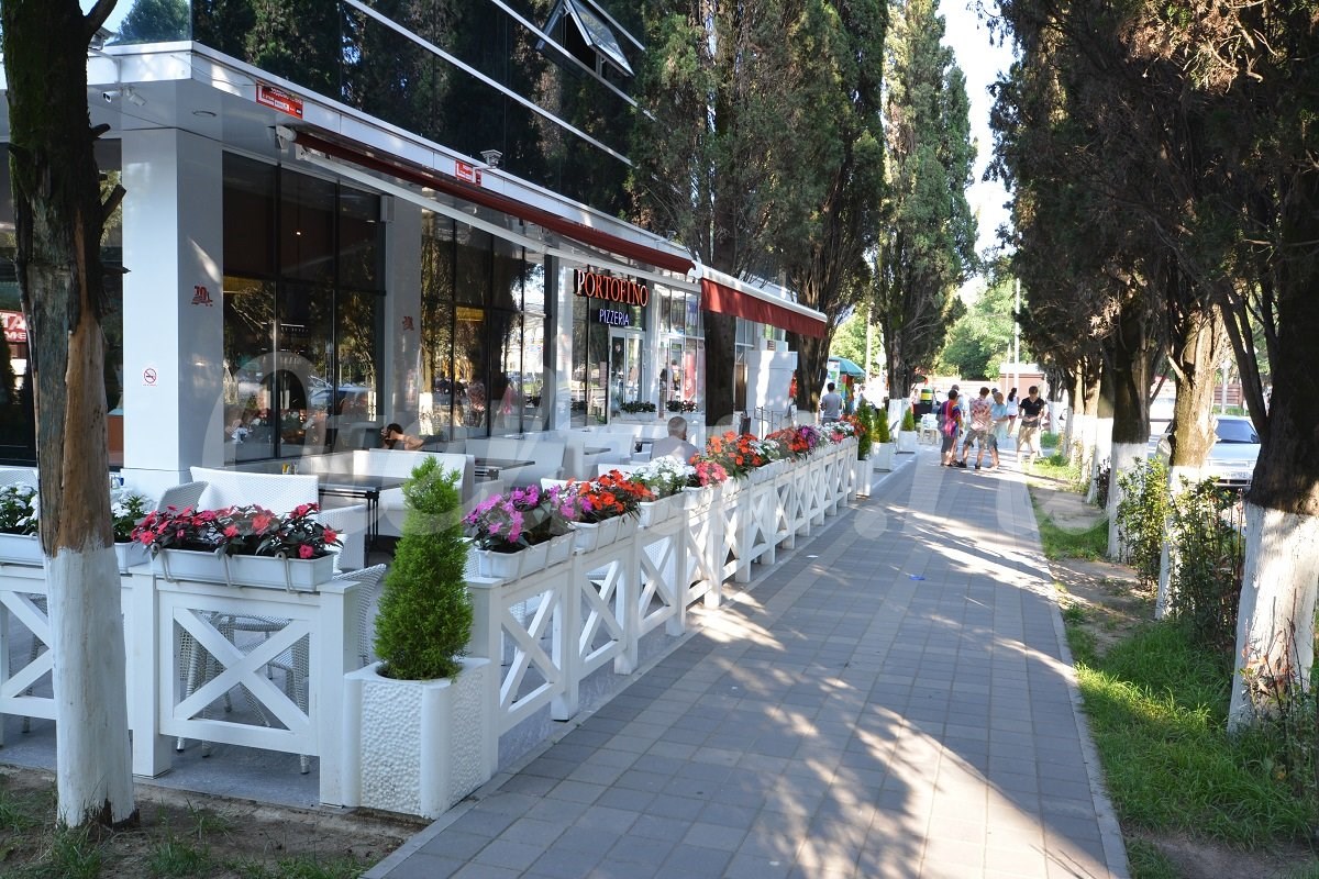 Джунгли у моря - photo 3