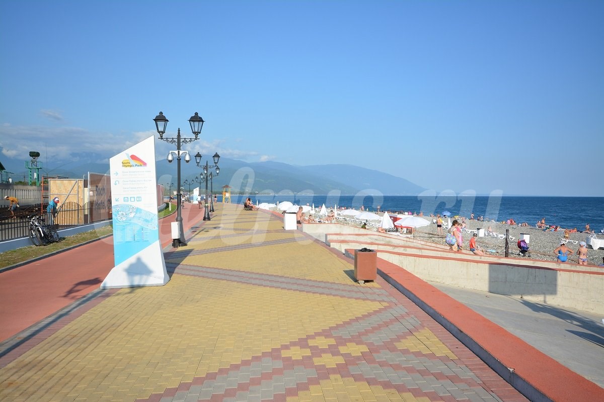 Джунгли у моря - photo 5