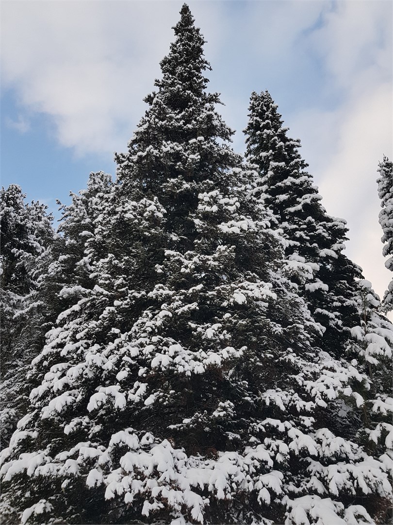 Куатанг - photo 2