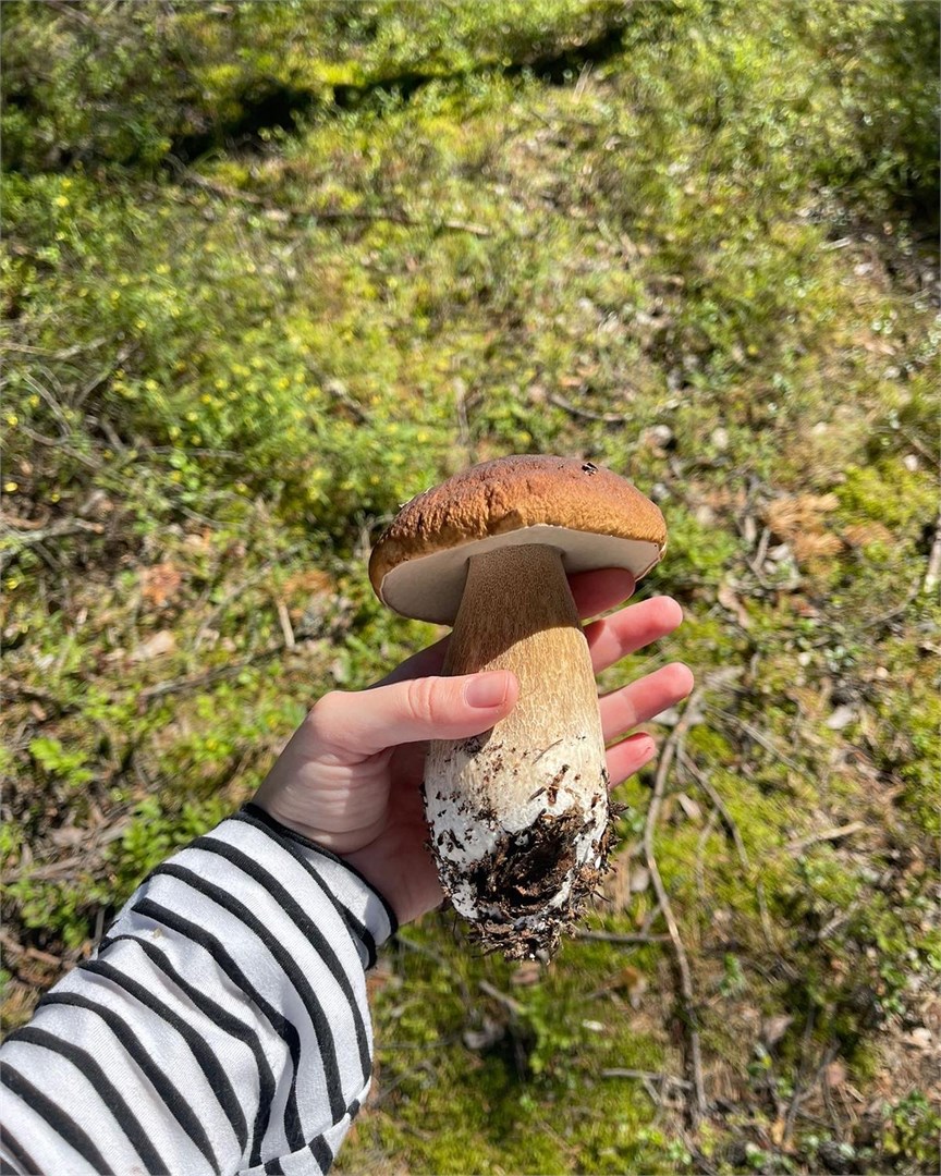 Вилла в Карелии - photo 5