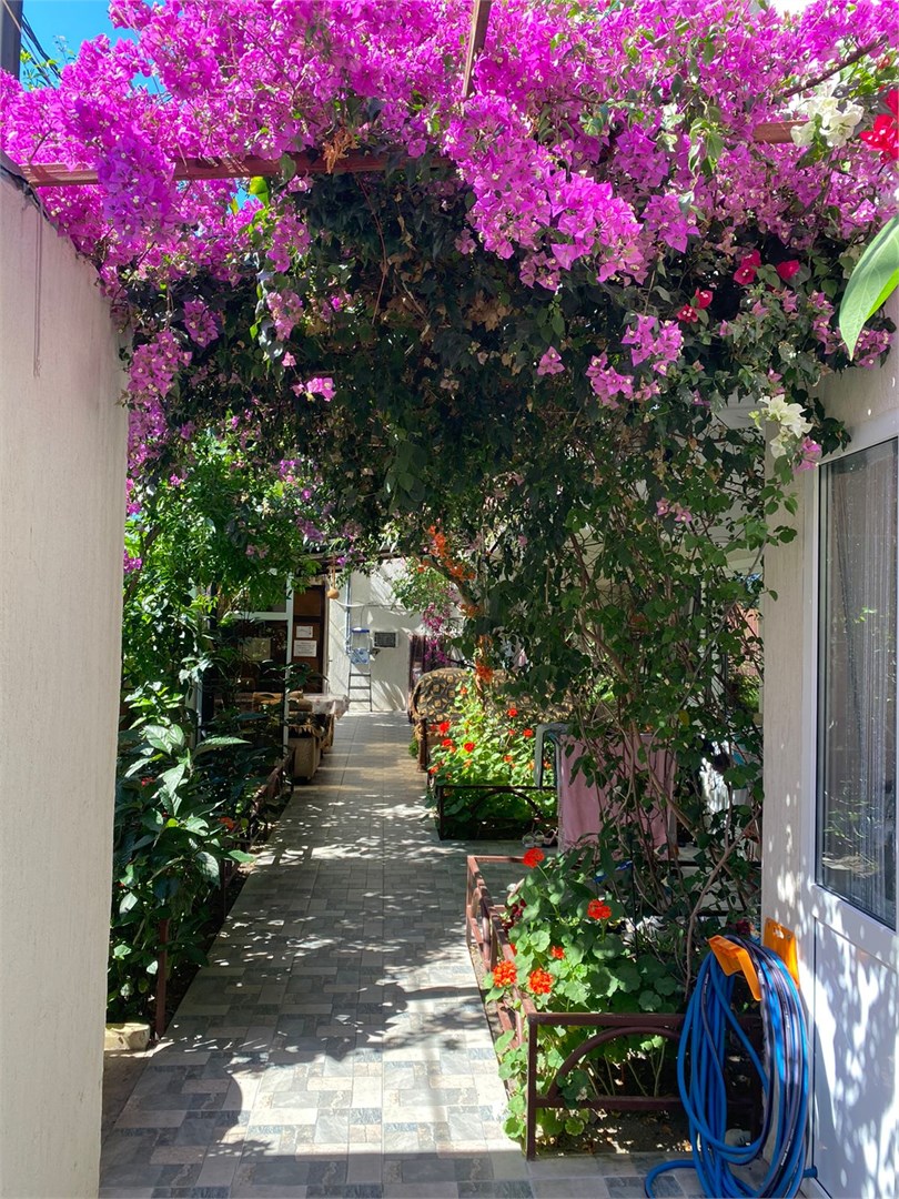 Отель Олимп Первая Линия - photo 3