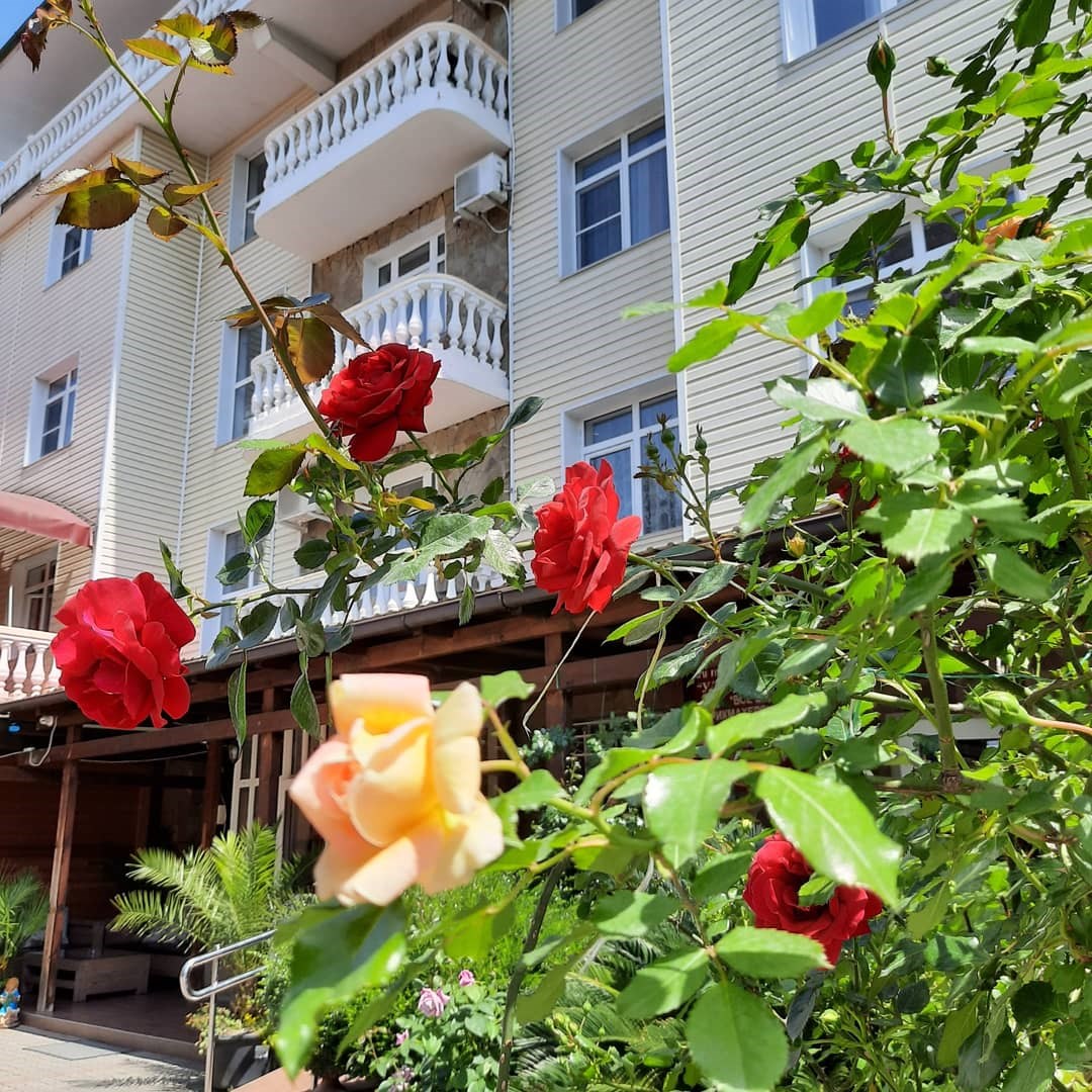 Имеретинский романтик - photo 5