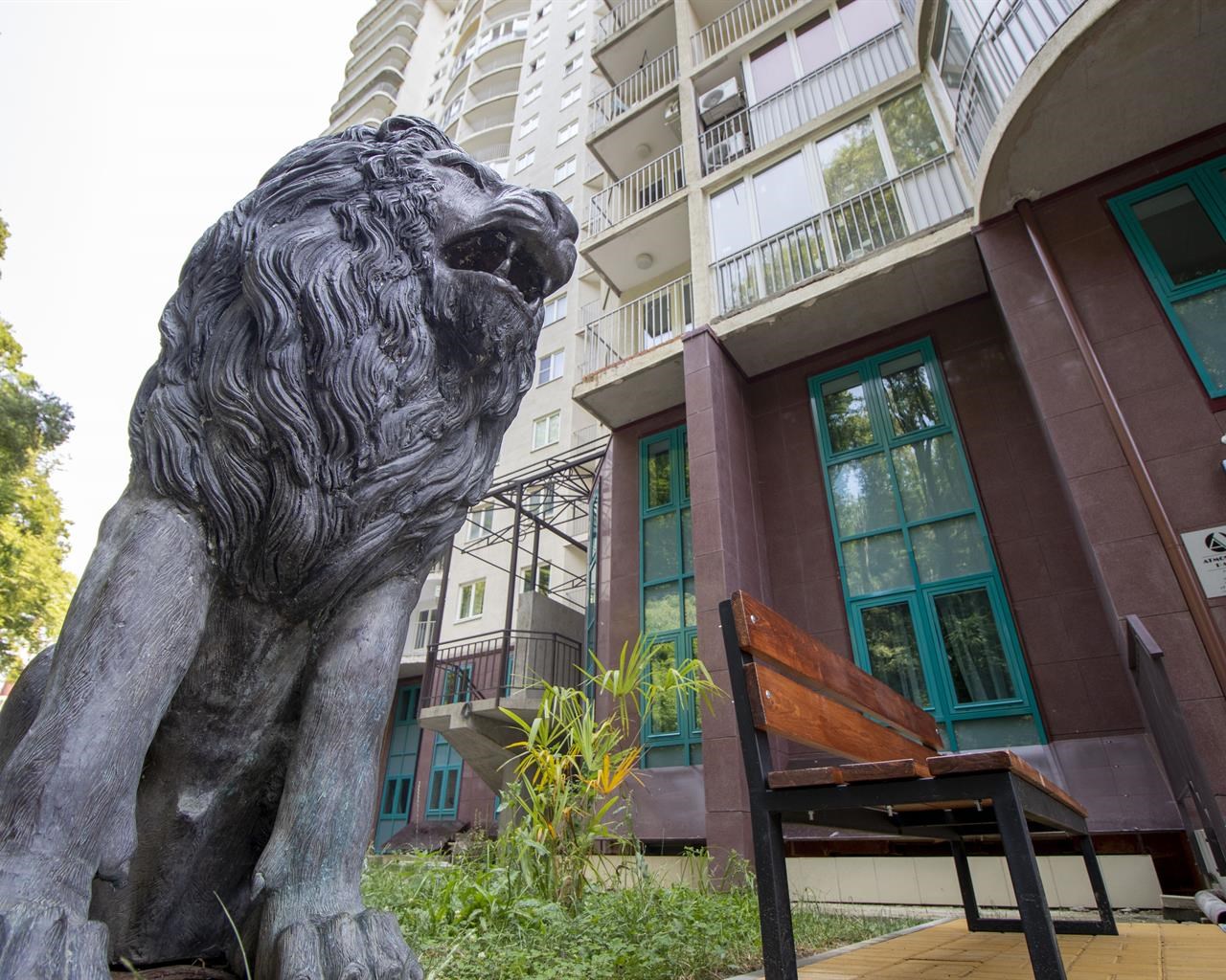 ATMOSFERA PARK - photo 5