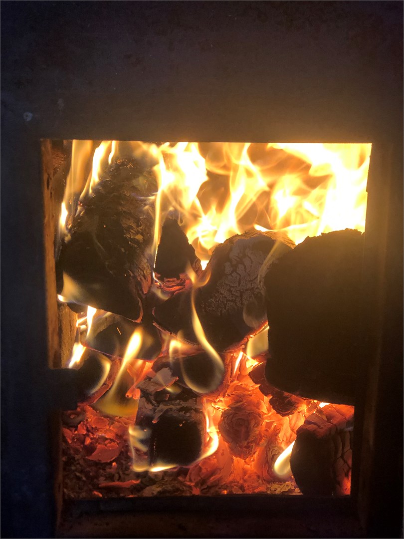 Лесная Гавань - photo 4