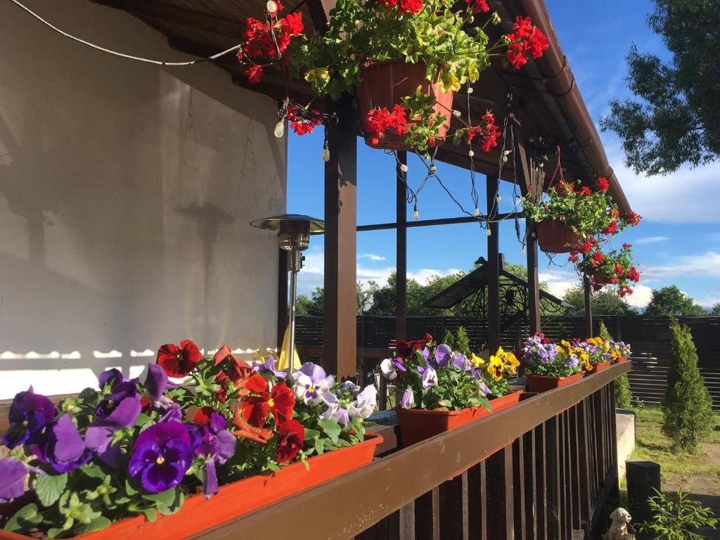 Куршале - photo 4