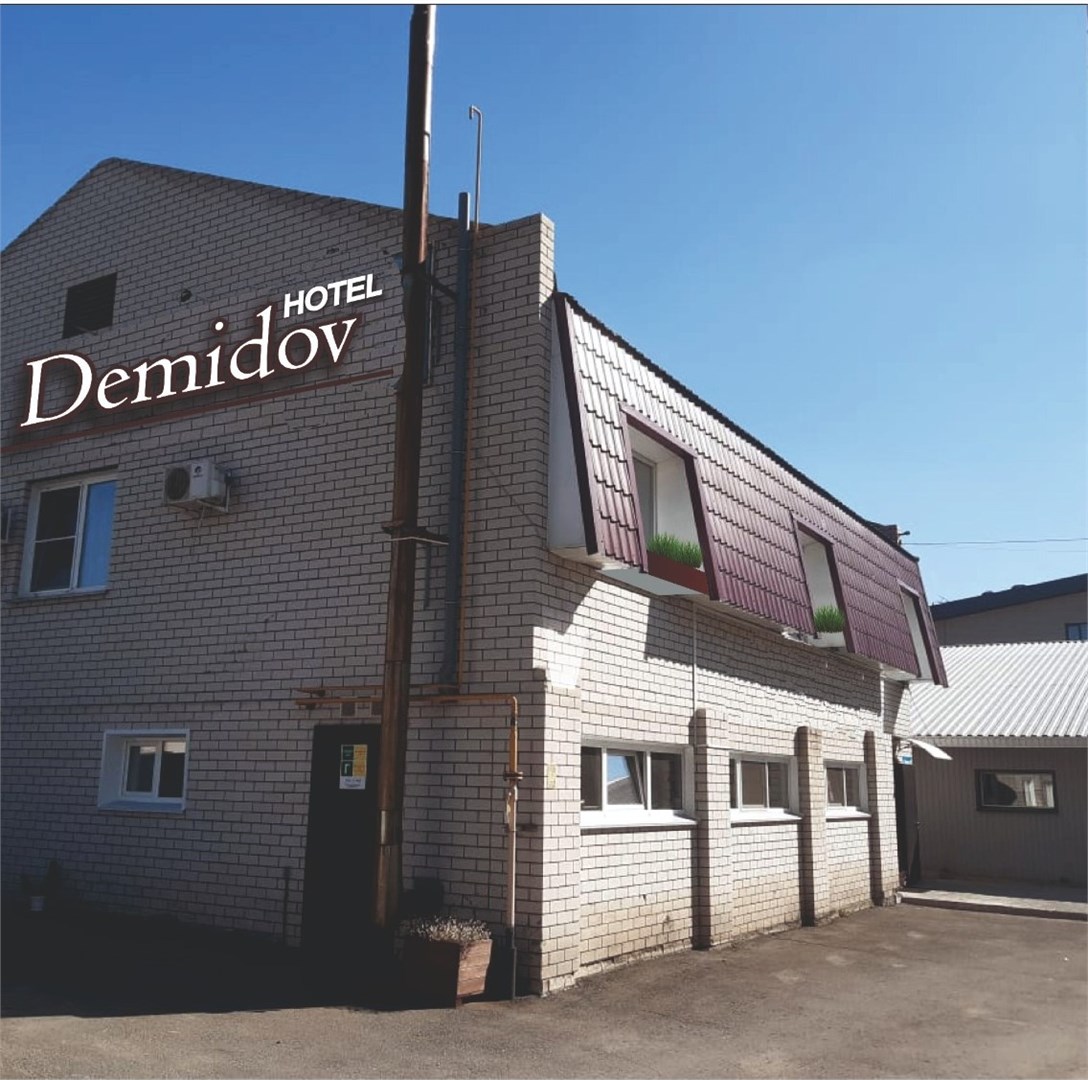 Отель "Demidov"