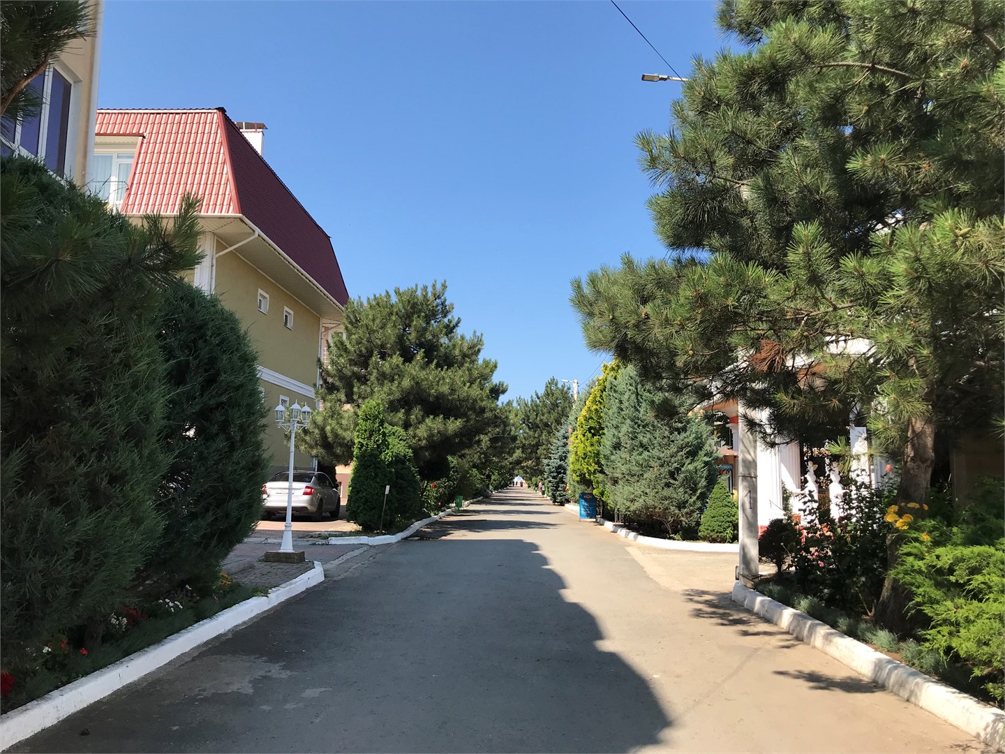 Алтын - photo 2