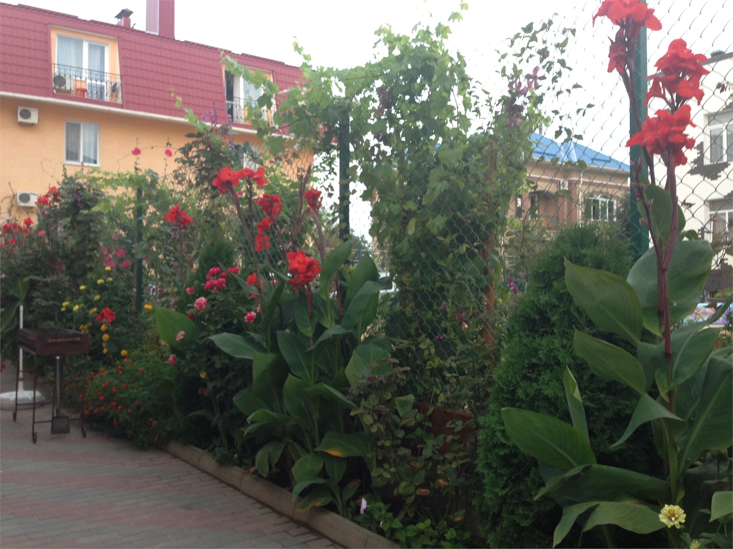 Алтын - photo 4