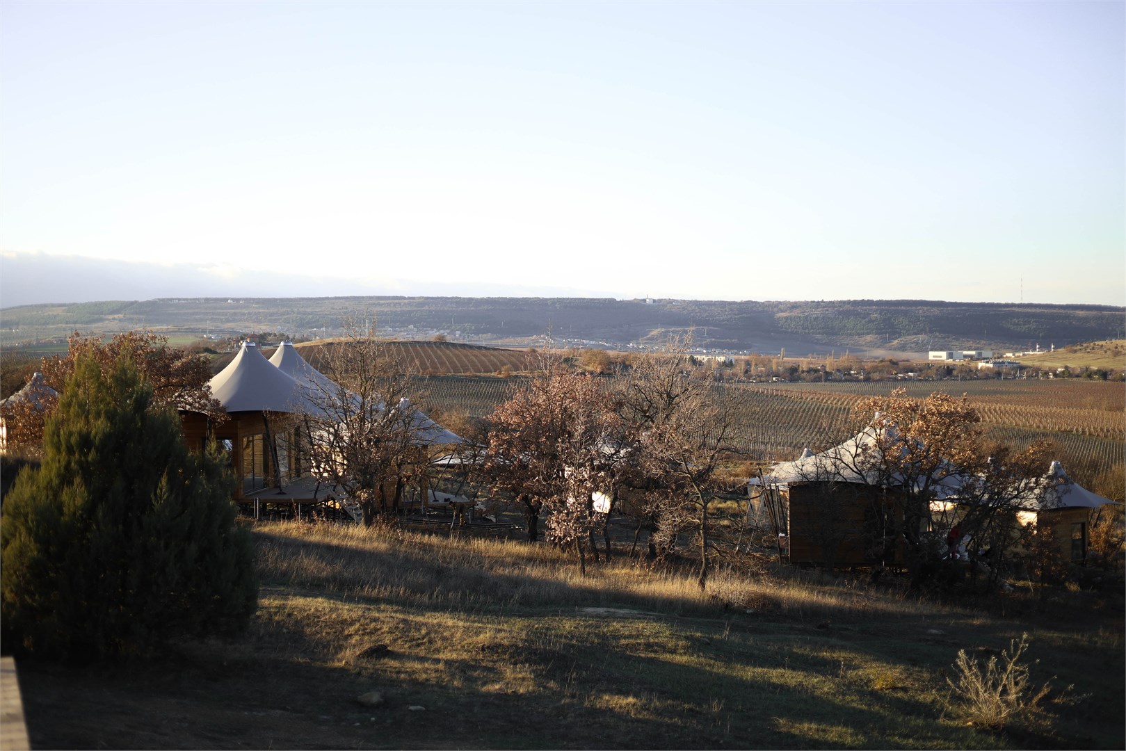 Api Balaklava - photo 5