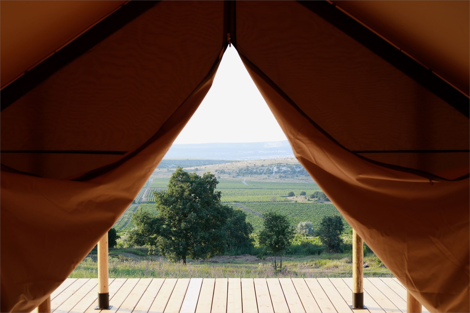 Api Balaklava - photo 2