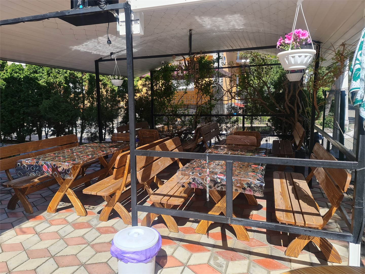 ДельфиниЯ - photo 5