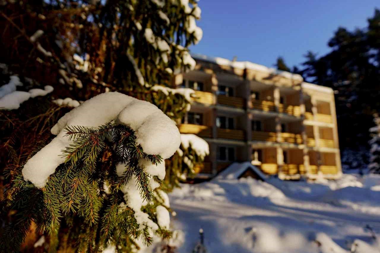 Sosnoviy Bor Hotel - photo 3