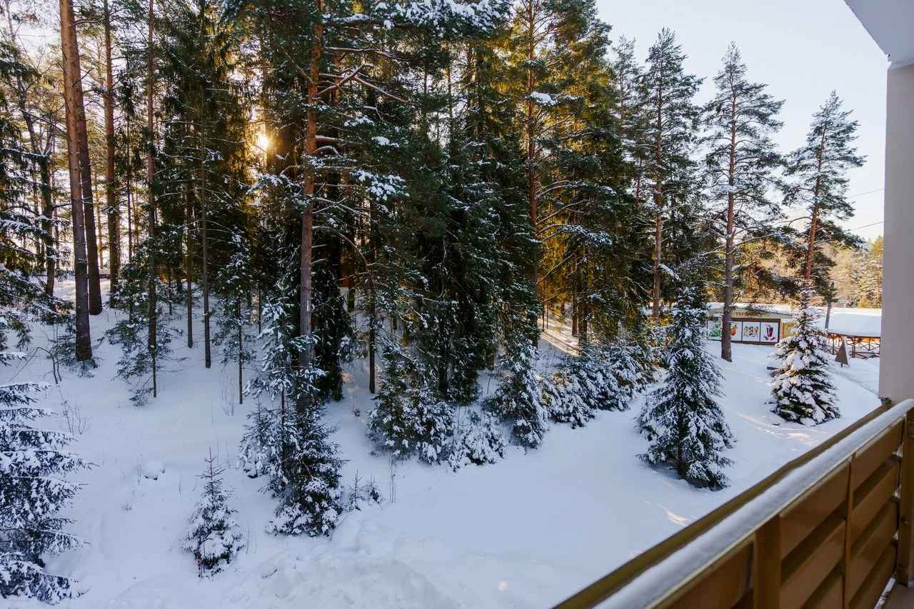 Sosnoviy Bor Hotel - photo 2