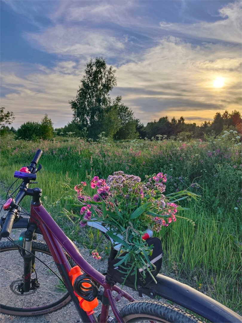 Глэмпинг парк КосмоСфера - photo 5